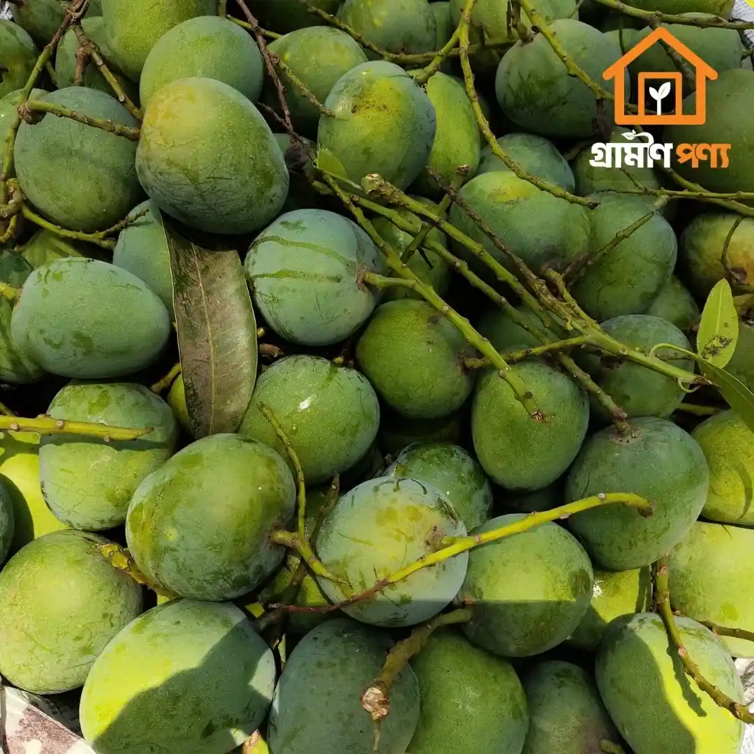 grameen-ponyo-himshagor-aam-2