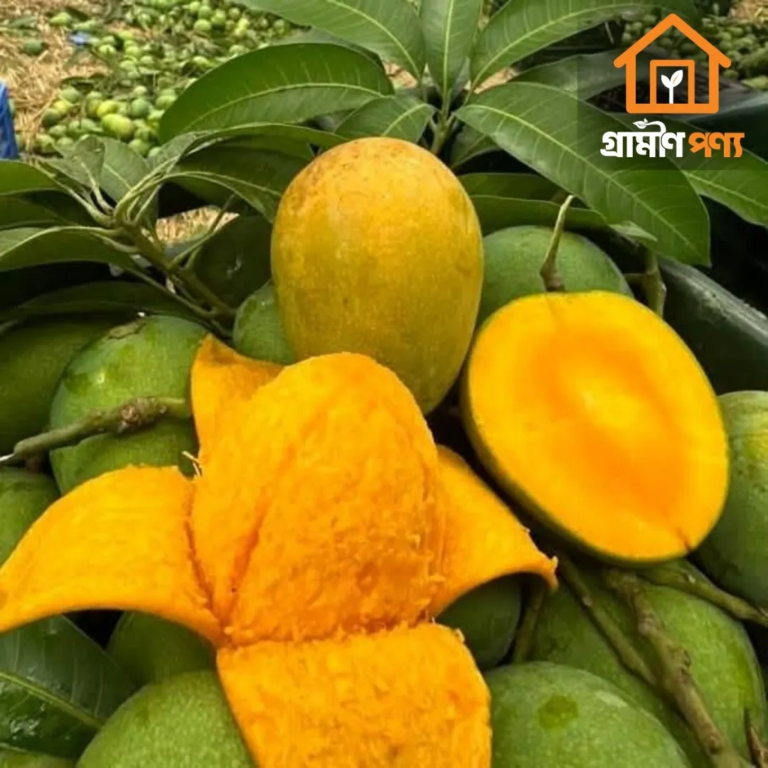 grameen-ponyo-himshagor-aam-4