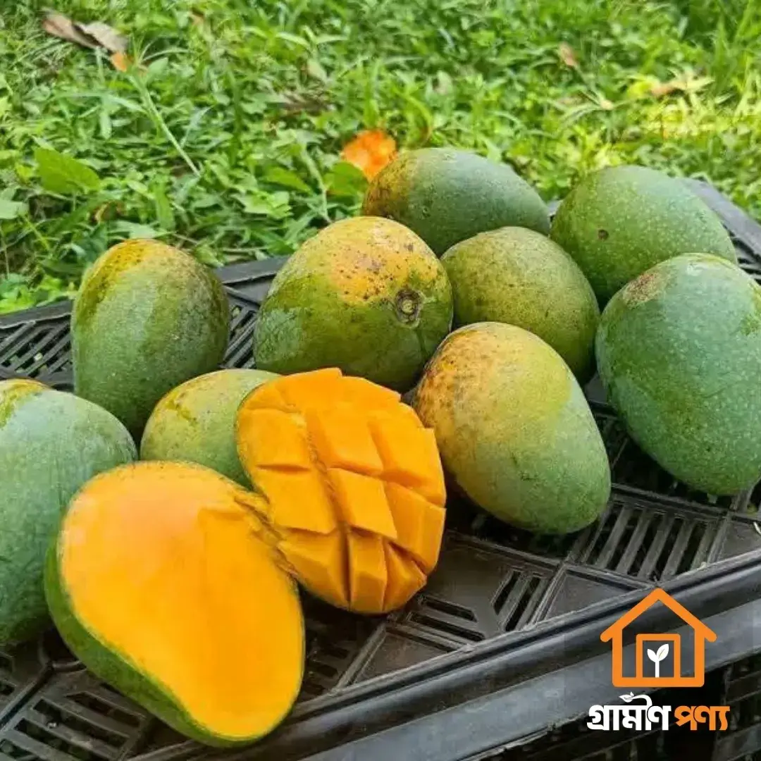 grameen-ponyo-himshagor-aam